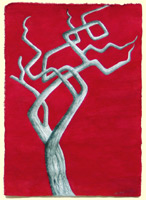 Belcarra 				Tree 	On Red